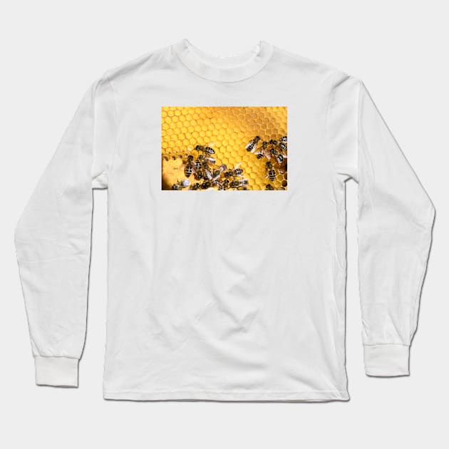 Honey honeycomb / Swiss Artwork Photography Long Sleeve T-Shirt by RaphaelWolf